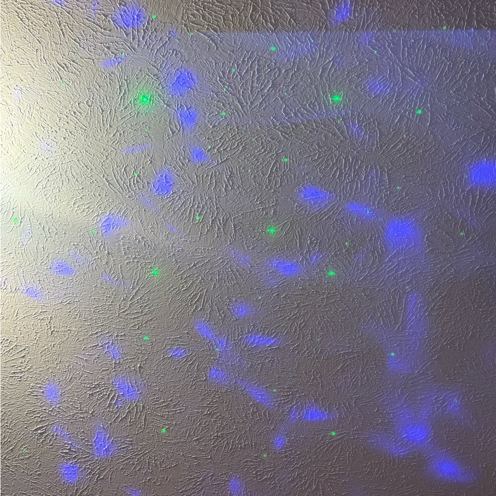 Black LED Light Projector - Picture 6 of 13